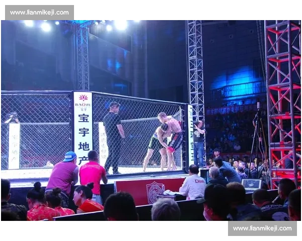 博击比赛的挑战与荣耀：探索综合格斗与传统武术的激情碰撞