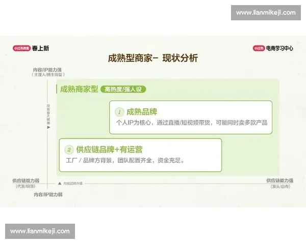企业电商运营策略解析与优化路径探索助力品牌增长和市场拓展